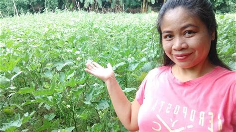 'iyotan sa bukid' Search .